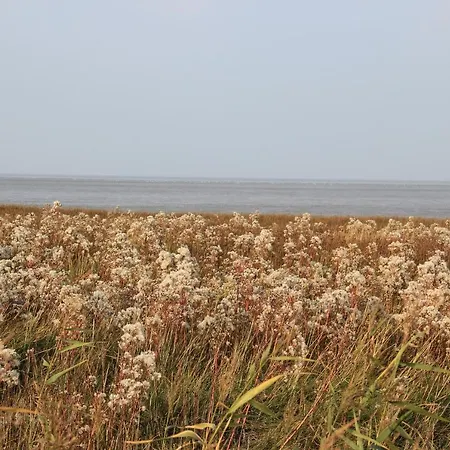 Annemaries Nordseehaus Und 別荘 ブットヤーディンゲン