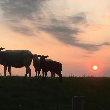 Annemaries Nordseehaus Und