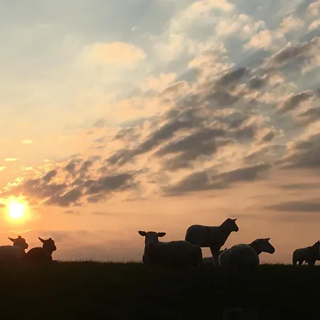 Annemaries Nordseehaus Und 別荘