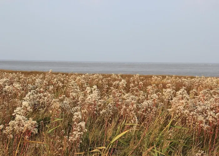 Annemaries Nordseehaus Und 펜션 부차딩엔