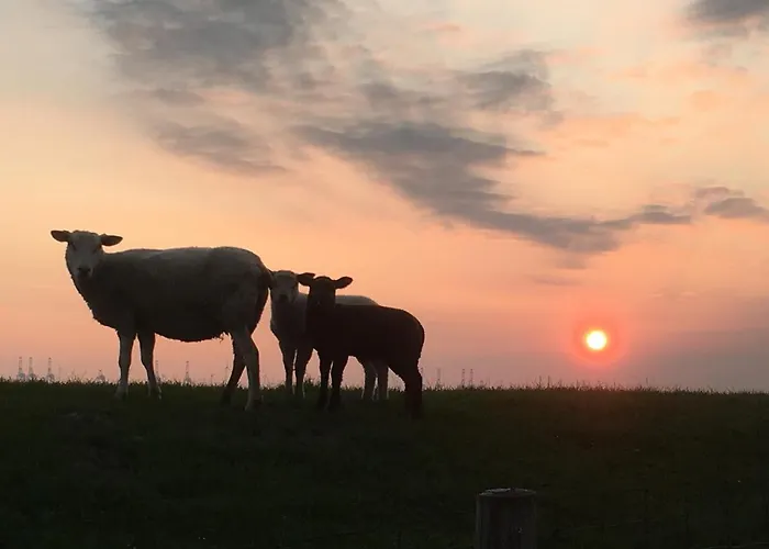 Annemaries Nordseehaus Und
