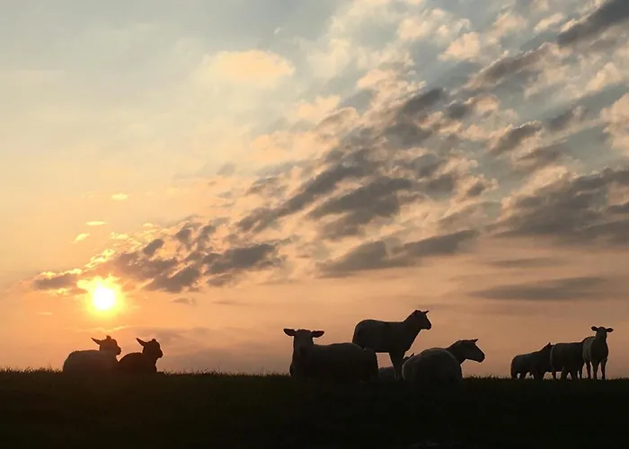 Annemaries Nordseehaus Und 펜션